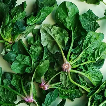 No Cooked Cooked Greens